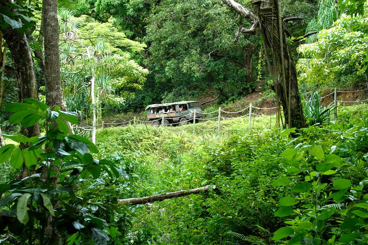 Kualoa Ranch: Jungle Expedition Tour - Photo 1 of 15
